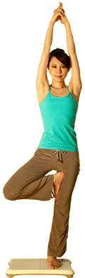 Wii Fit en el E3